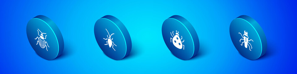 Set Isometric Chafer beetle, Ladybug, Termite and Cockroach icon. Vector.