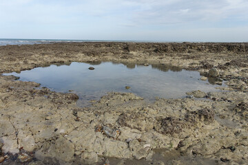 Plage du Puys à marée basse