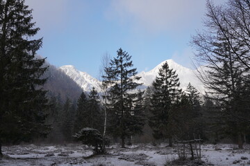 Bei Ettenhausen am Fuße des Geigelsteins