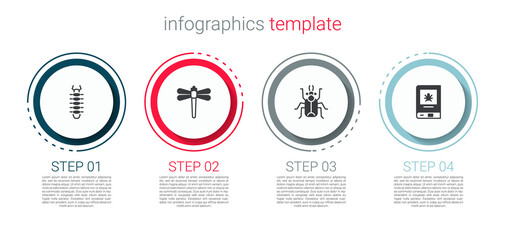 Set Centipede, Dragonfly, Beetle bug and Book about insect. Business infographic template. Vector.