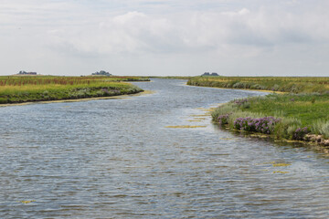 Hallig Hooge