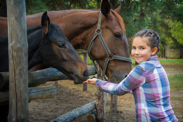In the summer afternoon on the farm, a girl feeds a mare with a foal.