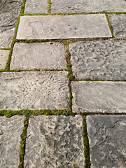 stone ground path