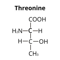 Threonine is an amino acid. Chemical molecular formula of threonine amino acid. Vector illustration on isolated background