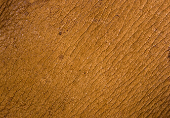 Old vintage genuine soft brown leather texture background, top layer with pores and scratches,...