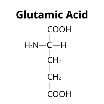 Glutamic acid is an amino acid. Chemical molecular formula glutamic acid amino acid. Vector illustration on isolated background
