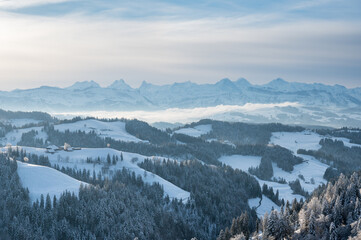 winter forest in Emmental, Switzerland