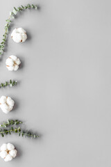 Flowers border with green eucalyptus branches and cotton on grey background top view copy space. Blog header mockup