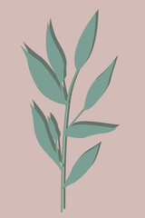 Fototapeta na wymiar Organic abstract plant with a shadow on a soft pink background.