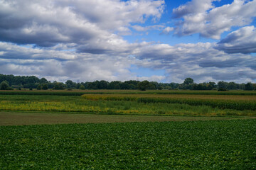 Agricultural field in Bavaria photographed in daylight