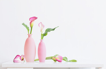 beautiful pink flowers in vases  on white background