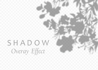 Shadow overlay effect. Transparent soft light and shadows from plant branches, leaves and foliage.