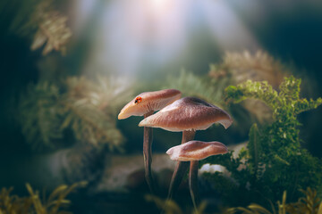 Fantasy magical Mushrooms glade and ladybug in enchanted fairy tale dreamy elf Forest, fabulous fairytale deep dark wood and moon rays in night, mysterious nature background - Powered by Adobe