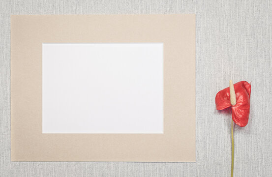 Cadre photo sur fond gris avec une fleur rouge. Pour écrire un message, invitation, vœux, photographie.	