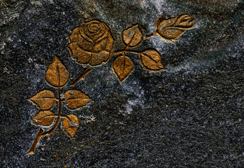 Steinrose
