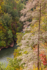 autumn in the mountains