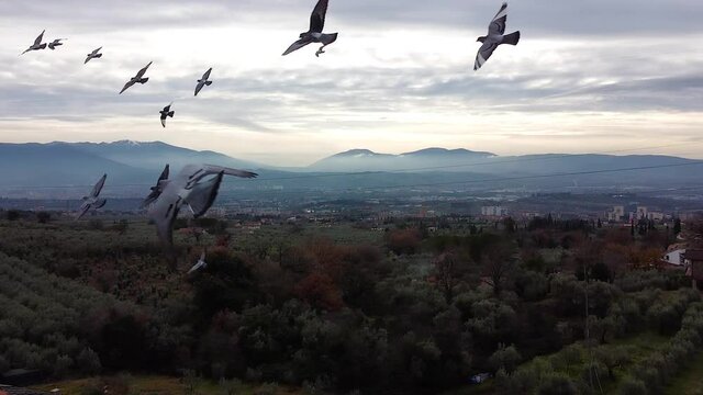 aerial shot of the terni valley with the drone