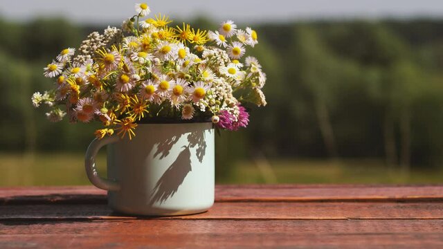 Closeup view 4k stock video footage of cute pastel metal mug used as vase for summer or spring simple beautiful field flowers standing on brown wooden background in sunny garden