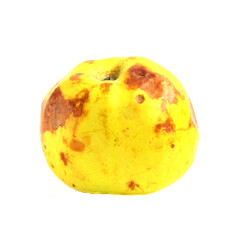 Inverted rotten apple isolated on white background.