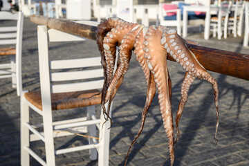 Drying octopus on the street in Naoussa village. Paros Island, Cyclades, Greece.