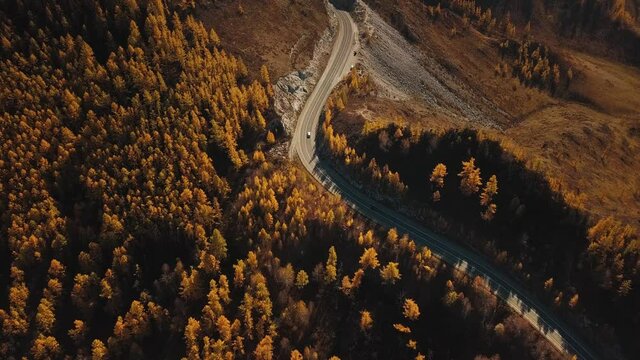 Aerial view of the serpentine mountain road at high altitude. Beautiful autumn golden wild landscape: winding difficult road, forest, trees with yellow and red leaves, large mountains, steep cliffs