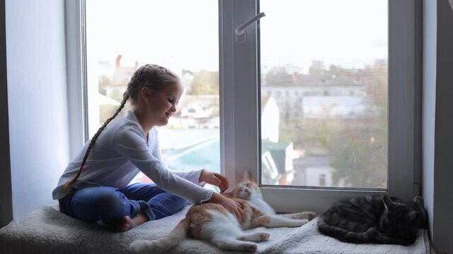 A small child with cats sits on the windowsill and looks out into the street. Friendship of the child and animals. Fostering respect for pets