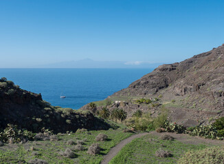 Footpath of hiking trail Tasartico to Playa GuiGui beach, Barranco de Guigui Grande ravine with cacti, succulents and sea. West of Gran Canaria, Canary Islands, Spain