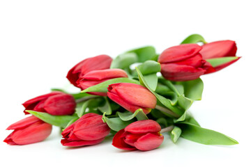 Obraz premium Bouquet of fresh red tulips isolated on white background with copy space