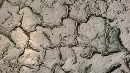 dried up ground