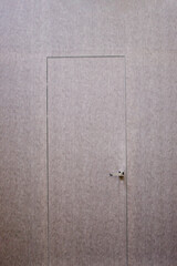 An invisible door. The door structure is without platbands with a hidden box. The handle of the door