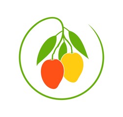 Mango logo. Isolated mango on white background