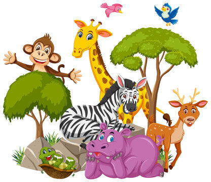 Wild animal group cartoon character on white background