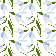 Fototapeta na wymiar Spring pattern vector. Snowdrops in spring seamless vector pattern. Vector pattern snowdrops.Snowdrops on a white background.
