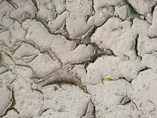 dried up ground