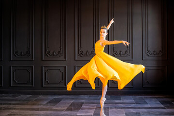 elegant ballerina in pointe shoes dances in long yellow skirt - obrazy, fototapety, plakaty