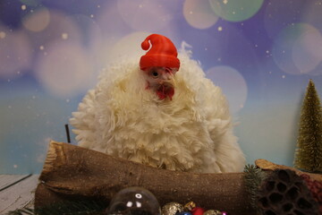 Huhn am Weihnachten