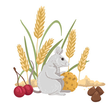 harvest mouse, mouse food, pet food, grains, berries, cheese and nuts. Vector cartoon illustration