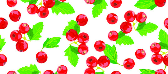 Currant vector seamless pattern