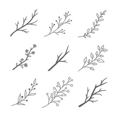 Doodle branch on white background. Graphical mono line set. Vector illustration