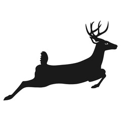 silhouette of a deer