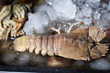 Flathead lobster frozen for sale in the market, close-up photo.