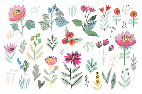 Vector Hand Drawn Flowers and Plants in Cute Color Palette. Hand drawn Vector Set. Colorful trendy illustration. All elements are isolated. Perfect For your own design.