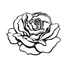 Black and white rose flower fully open. Design element for tattoo, stencil, greeting cards, flower shops. Vector illustration.