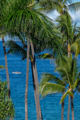 Fototapeta na wymiar Outrigger canoe, Maui, Hawaii, USA.
