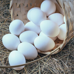 a lot of fresh chicken eggs in a straw basket on a background of hay. Healthy eating concept