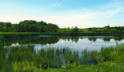 Spring landscape, reflection of trees in water