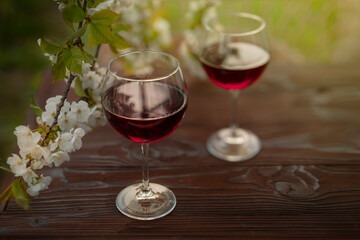 Wine Tasting Party in spring in the garden