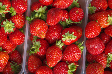 fresh strawberries in a market