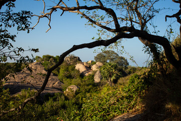 Landscape view of rock formation along Mahabalipuram town, Tamil Nadu, India.