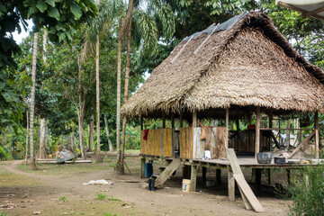 Fototapeta na wymiar House in an amazonian village in the Cuyabeno Natural Reserve, Amazon Rainforest, Ecuador